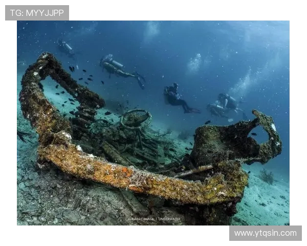 皇家社会俱乐部的历史传承与文化影响力探析